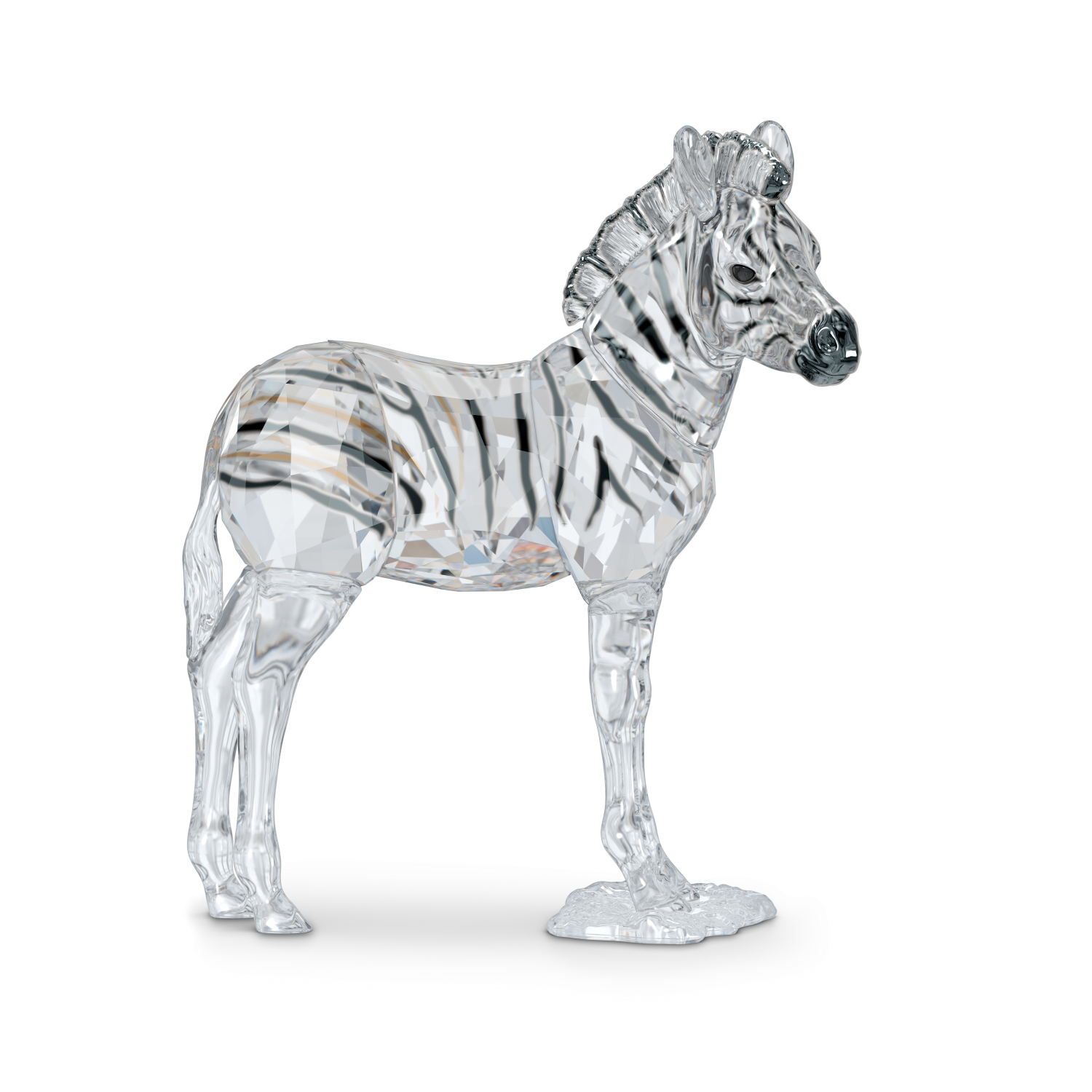 Swarovski - Elegance of Africa SCS Baby Zebra Zuri Ref. 5557906 - SWAROVSKI