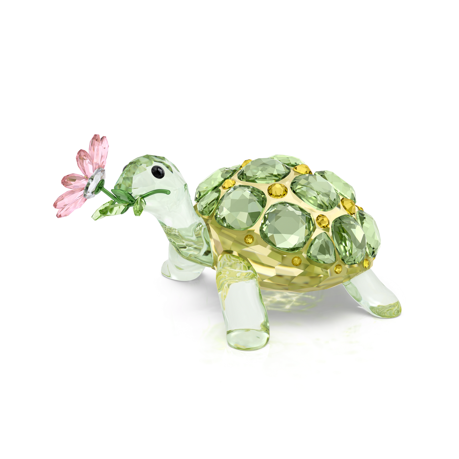Swarovski - Idyllia Tartaruga e Margherita Ref. 5721542 - SWAROVSKI