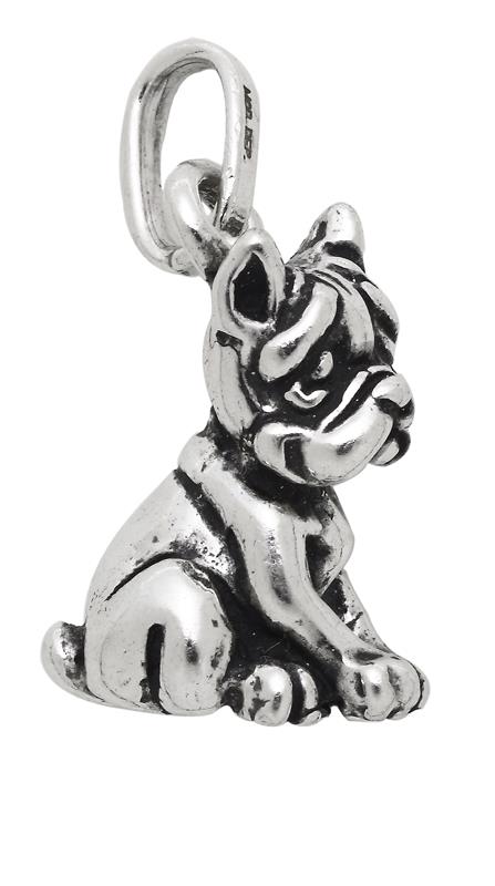 CHARM CANE - GIOVANNI RASPINI