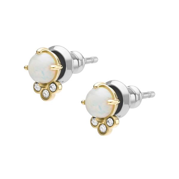 Orecchini Fossil Ref. JF03876710 - FOSSIL