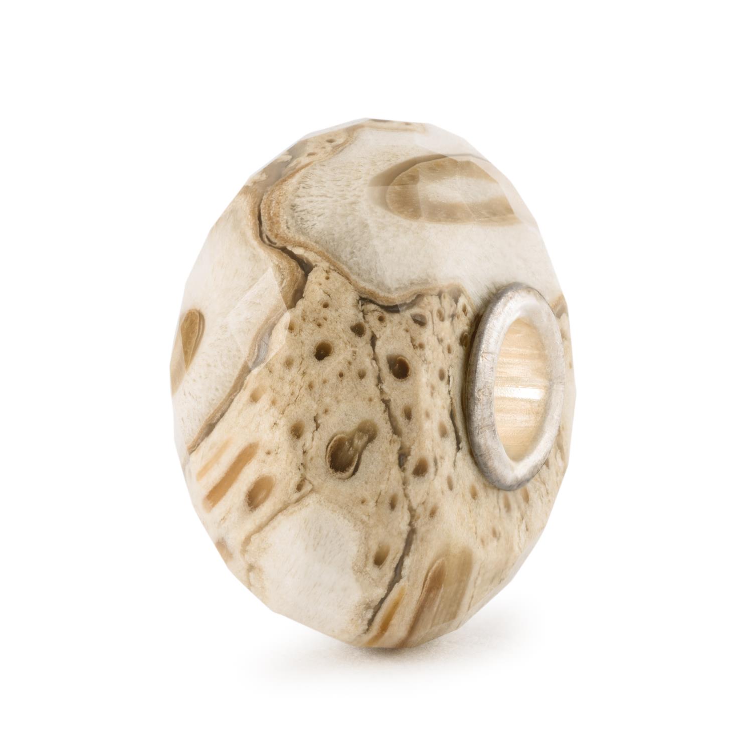 Trollbeads in Pietra Preziosa - Legno Fossile Ref. TSTBE-20042 - TROLLBEADS