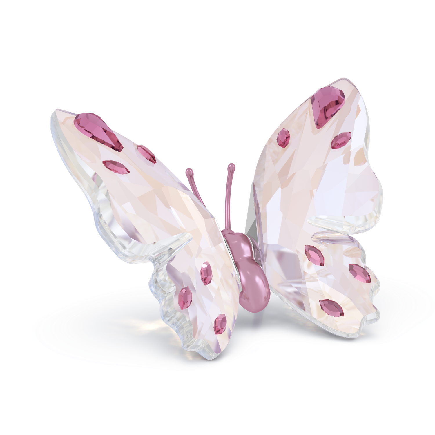 Swarovski - Idyllia Farfalla, Piccola Ref. 5691959 - SWAROVSKI